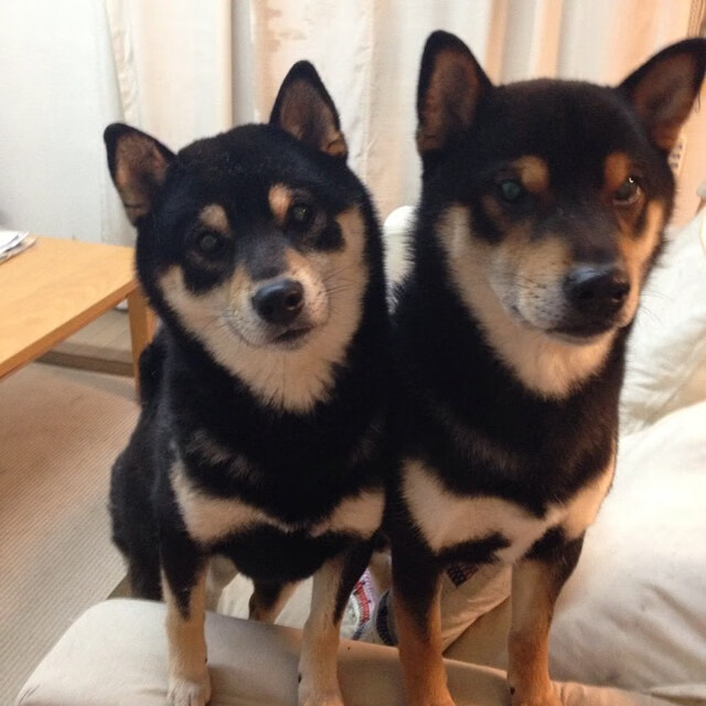 佩德里爆发难救主!哥斯达黎加决胜局惊天逆转带走皇家社会