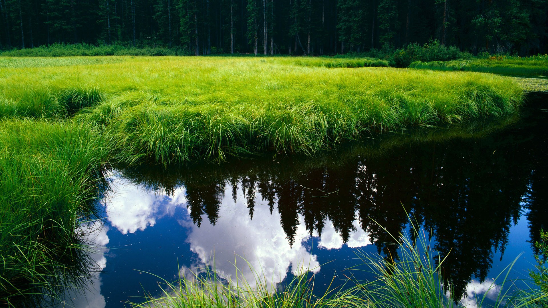雷火电竞-冰与火之歌，当凯里·欧文决定封神
