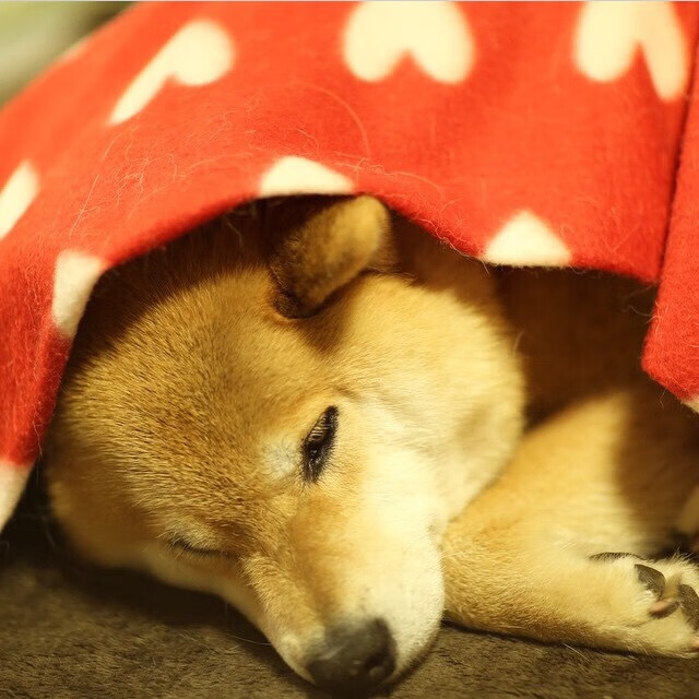 圣西罗的火山,当奥利维耶爆发,AC米兰如何压制马赛