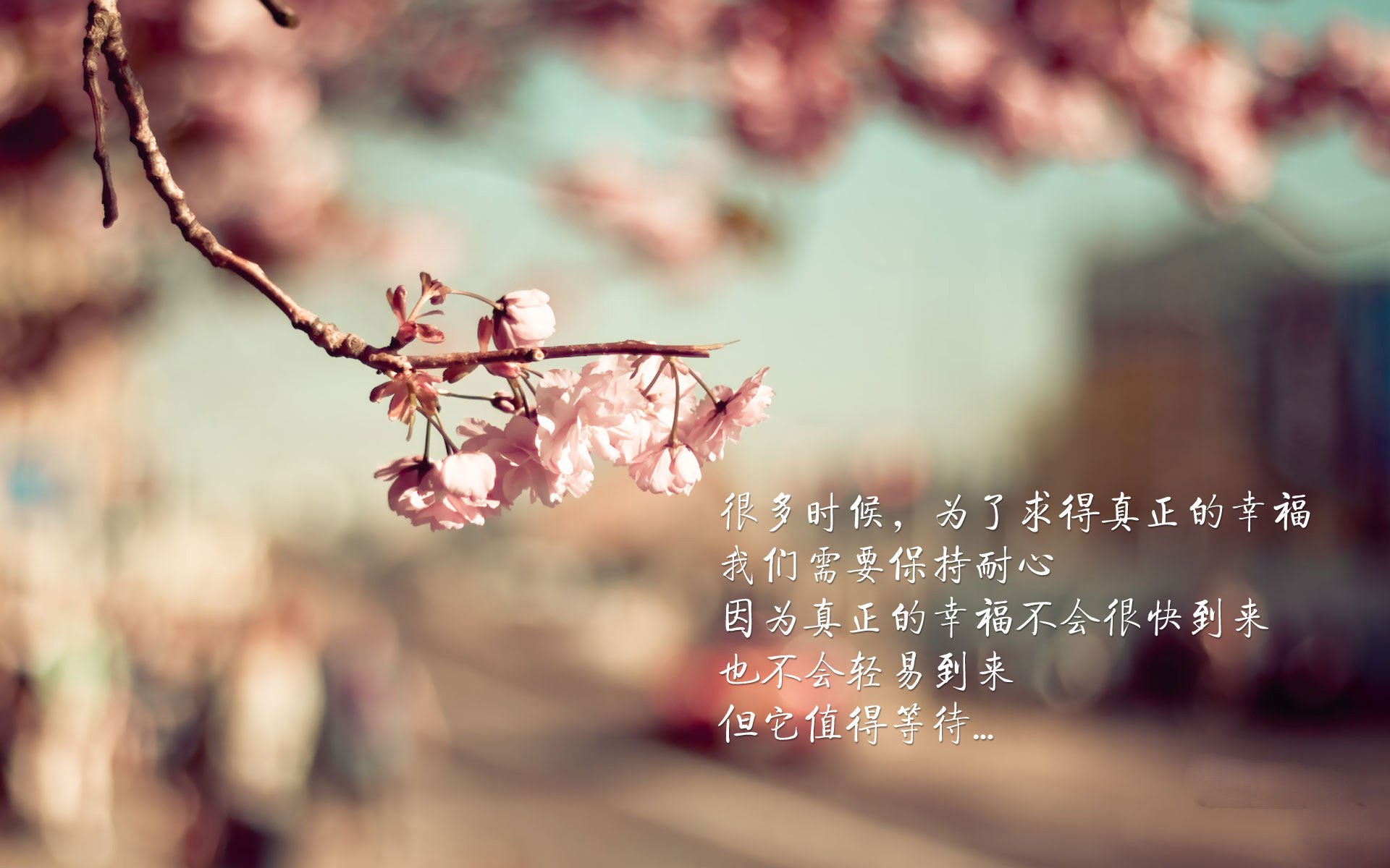 雷火电竞下载-休斯顿火箭，从航天城直抵西湖的制空权