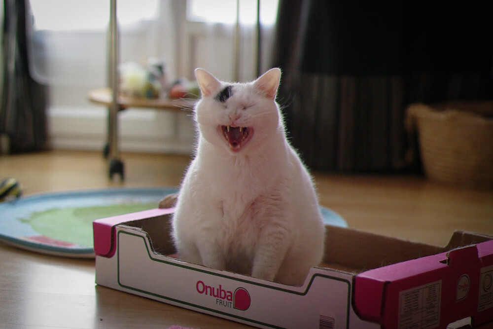 铁血马刺与天山铁骑的终极碰撞,拉梅洛·鲍尔在全球瞩目下完成史诗接管