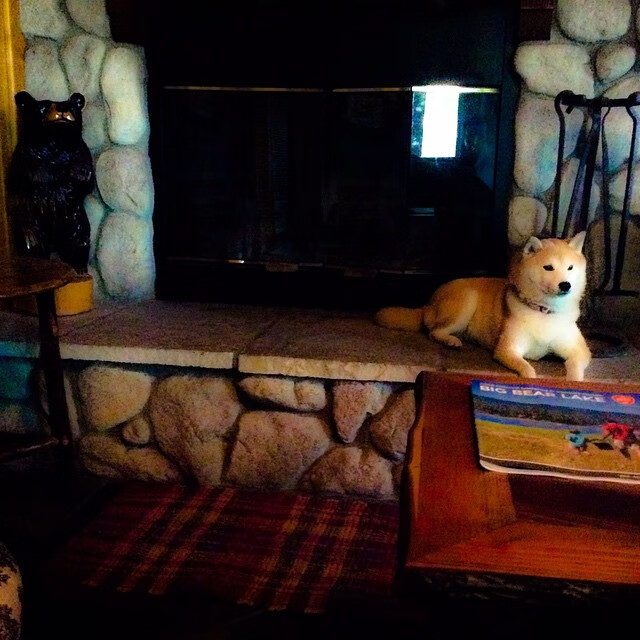 雷火电竞主播-矛盾共生体，布雷默扛着巴西前行，巴萨火力却压制着桑巴军团