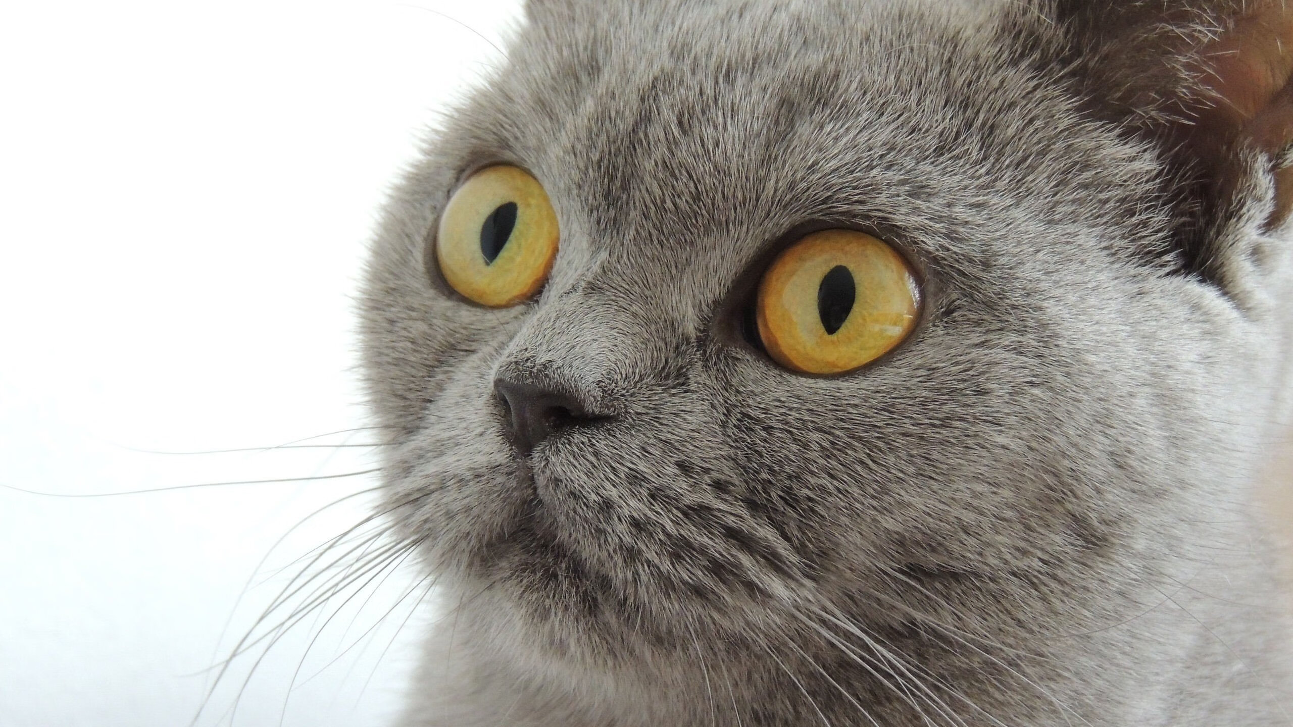 瞬间，电光火石间，一瞬已永恒