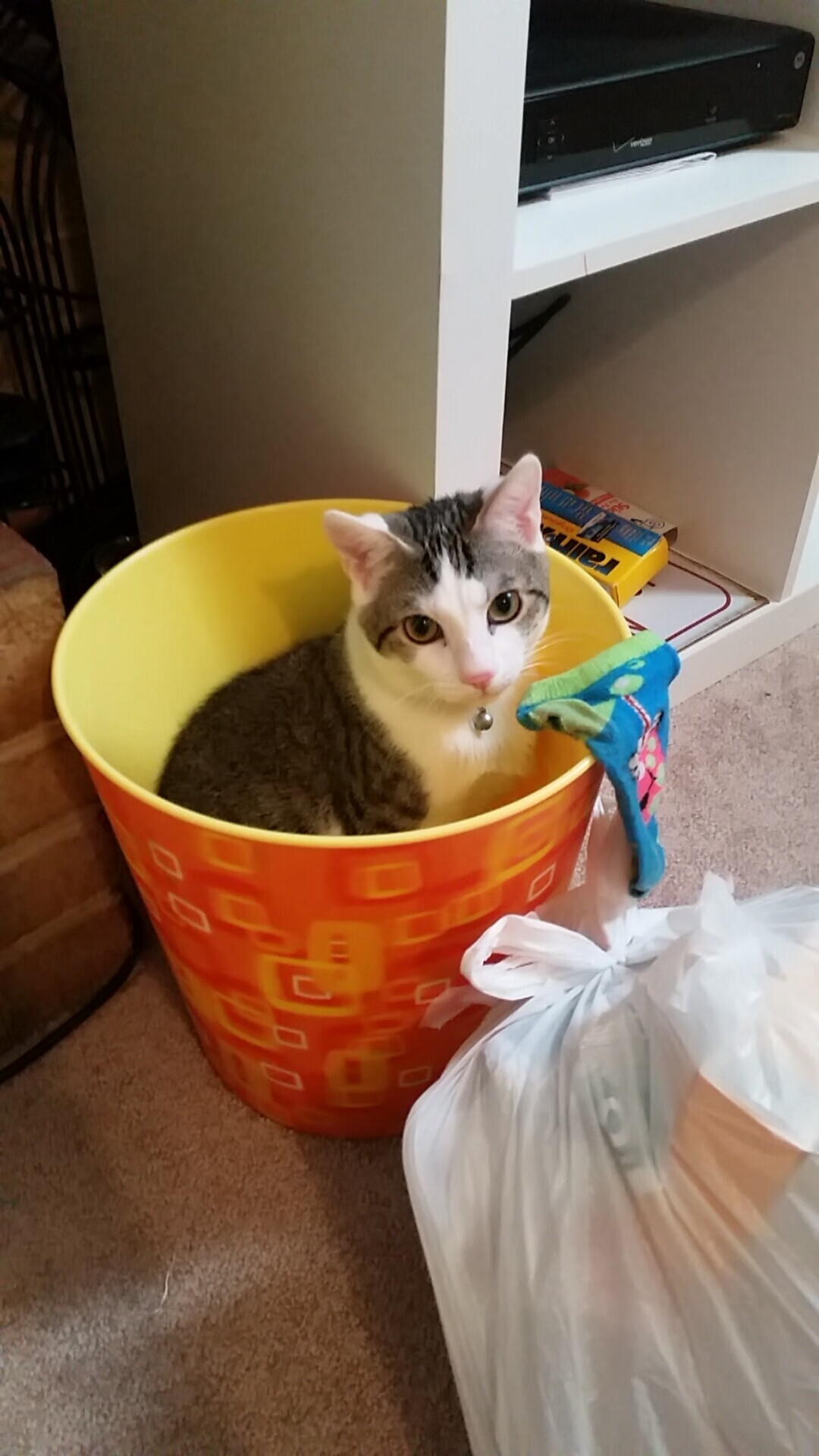 绿茵战场上的独舞与铁血洪流,奥利维耶的爆发与喀麦隆的压制美学