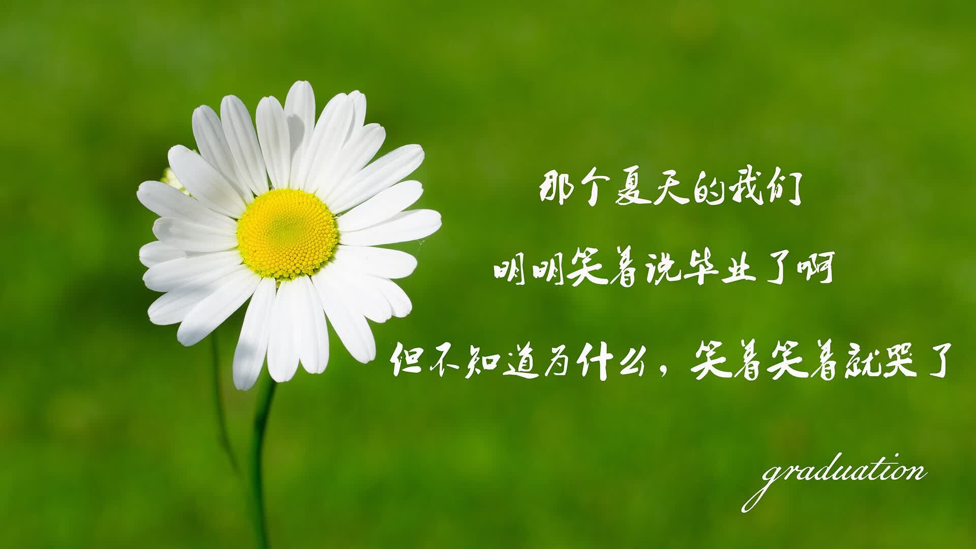 雷火电竞主播-沙漠风暴席卷美利坚，阿联酋完胜美国，贝林厄姆压哨绝杀定乾坤